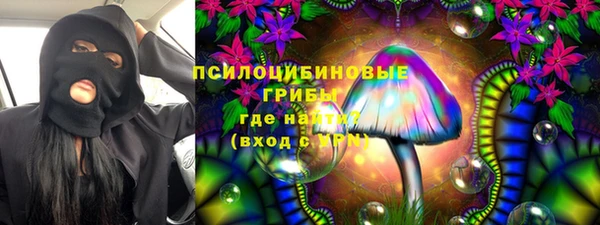 эйфоретик Богородск